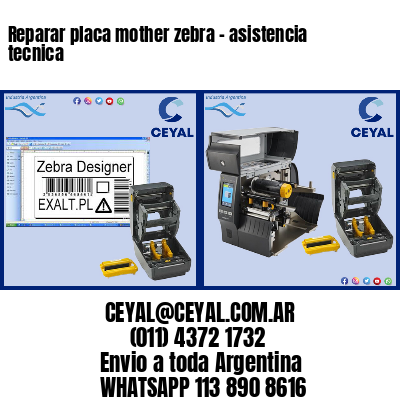 Reparar placa mother zebra – asistencia tecnica