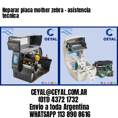 Reparar placa mother zebra – asistencia tecnica