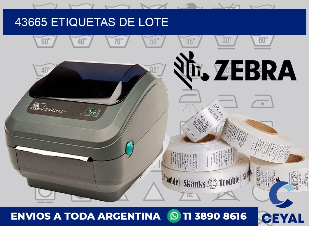 43665 Etiquetas de lote