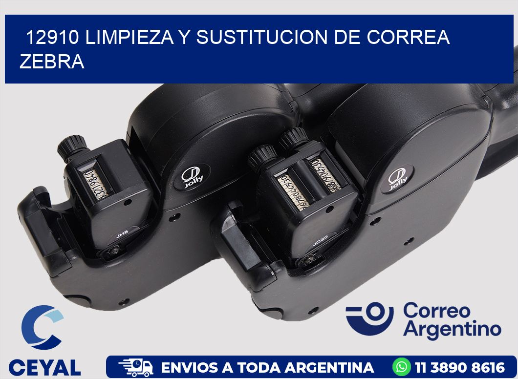 12910 LIMPIEZA Y SUSTITUCION DE CORREA ZEBRA
