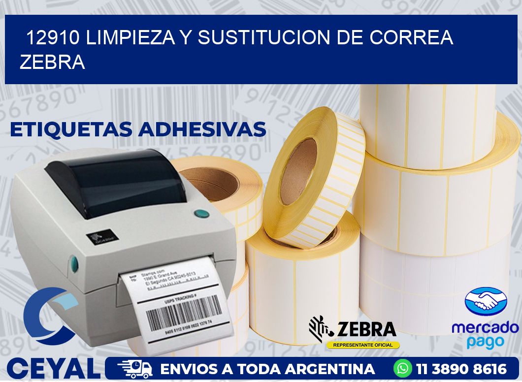 12910 LIMPIEZA Y SUSTITUCION DE CORREA ZEBRA