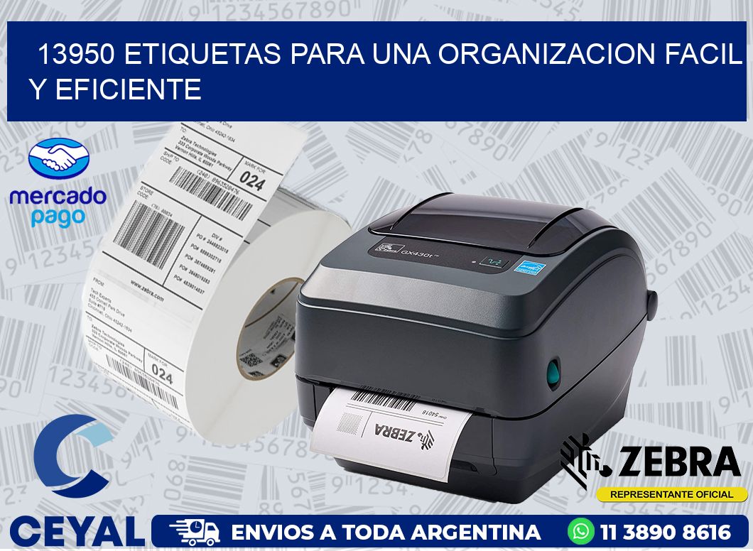 13950 ETIQUETAS PARA UNA ORGANIZACION FACIL Y EFICIENTE