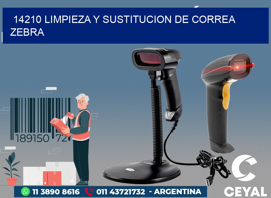 14210 LIMPIEZA Y SUSTITUCION DE CORREA ZEBRA