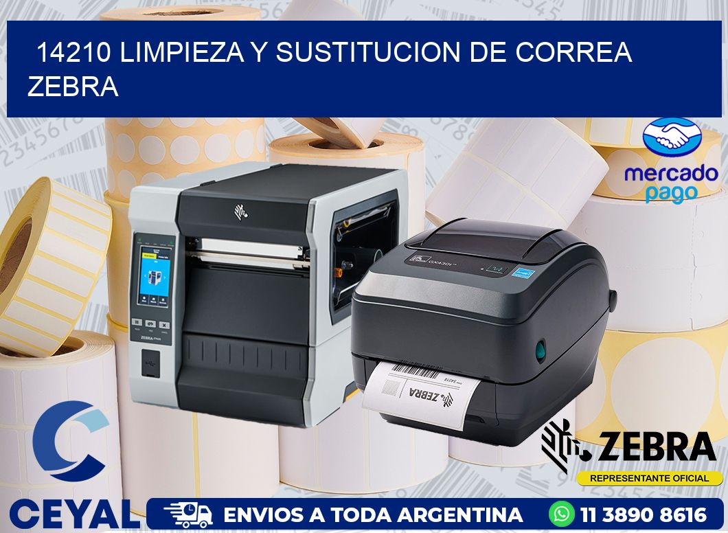 14210 LIMPIEZA Y SUSTITUCION DE CORREA ZEBRA