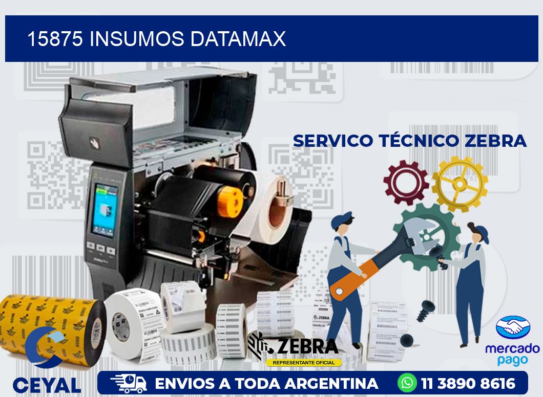 15875 INSUMOS DATAMAX