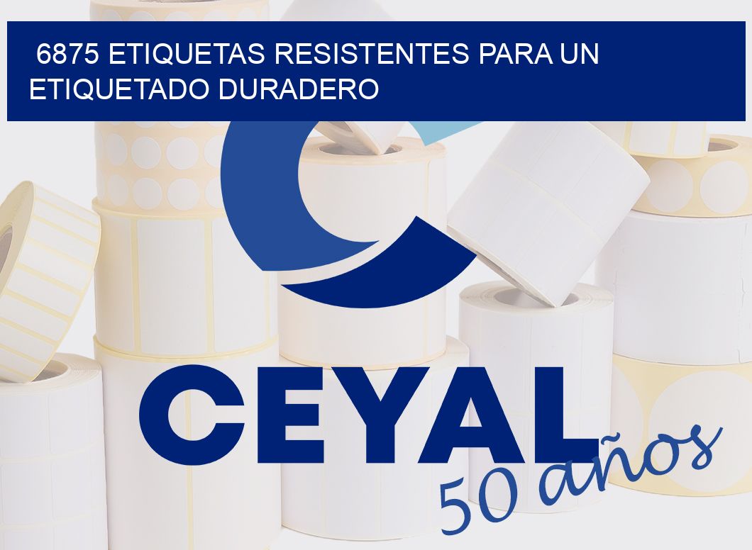 6875 ETIQUETAS RESISTENTES PARA UN ETIQUETADO DURADERO