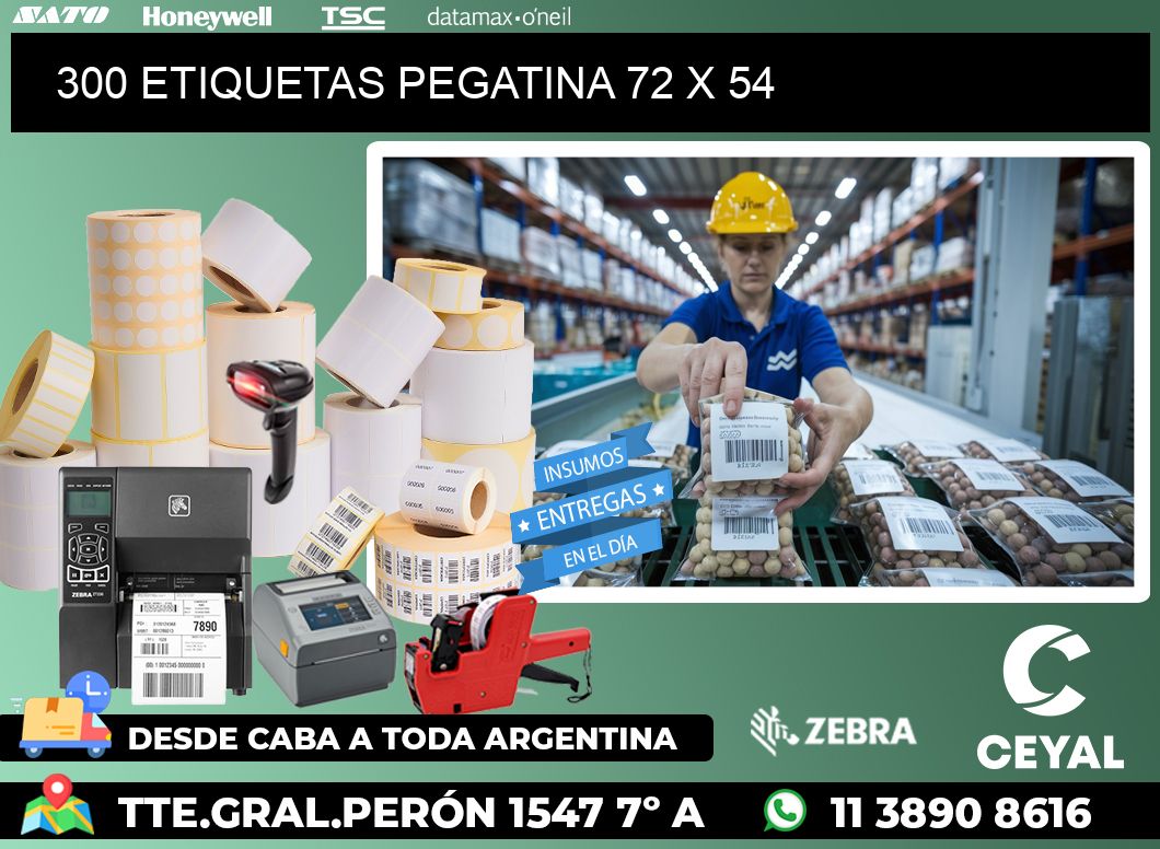 300 ETIQUETAS PEGATINA 72 x 54