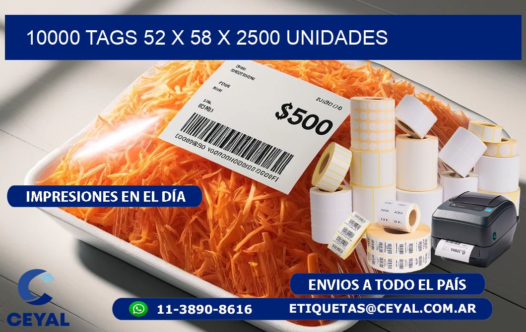 10000 TAGS 52 x 58 X 2500 UNIDADES