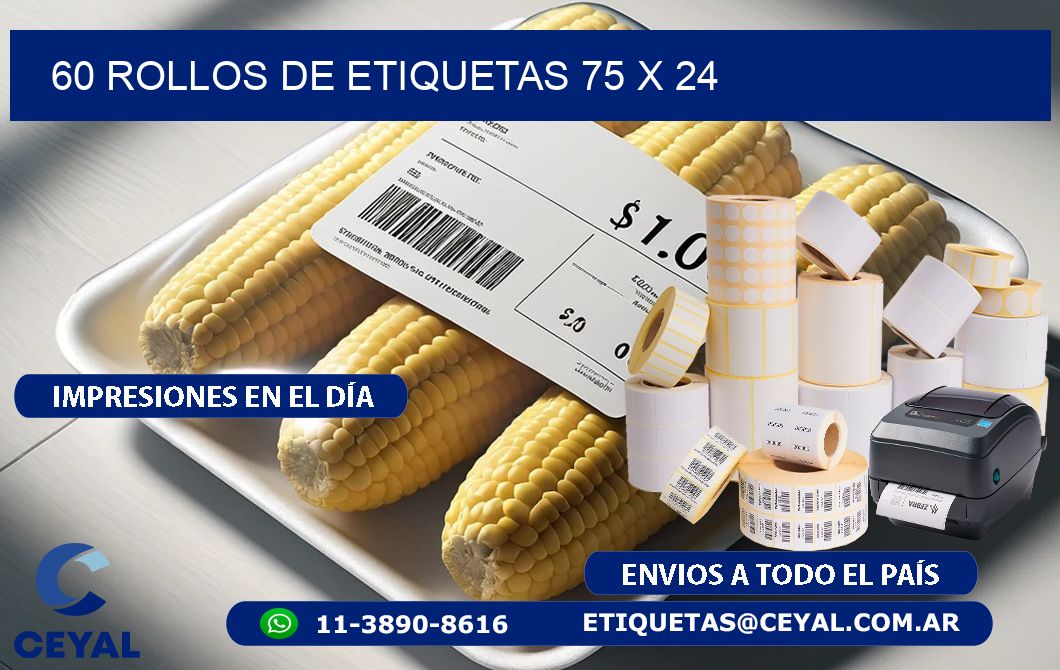 60 ROLLOS DE ETIQUETAS 75 x 24