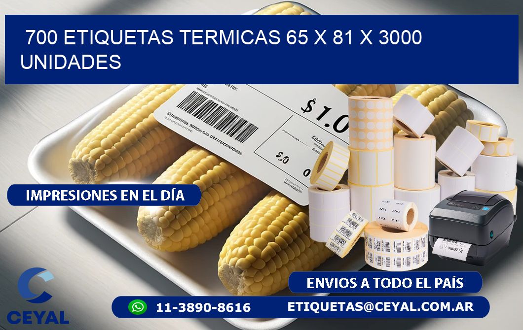 700 ETIQUETAS TERMICAS 65 x 81 X 3000 UNIDADES