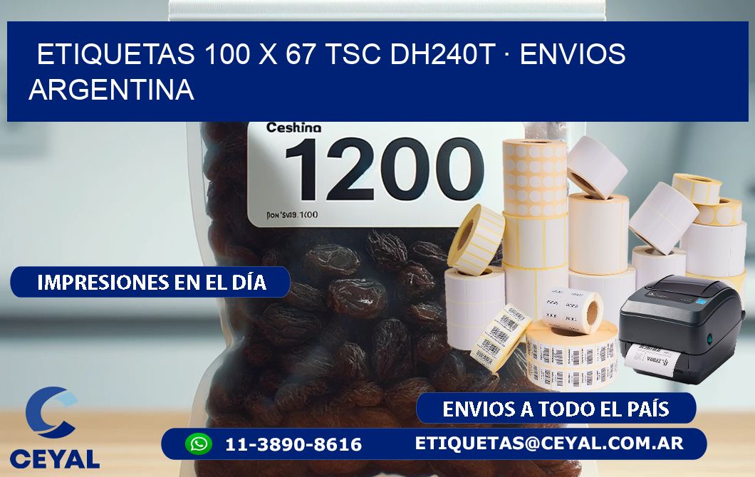 ETIQUETAS 100 x 67 TSC DH240T · ENVIOS ARGENTINA