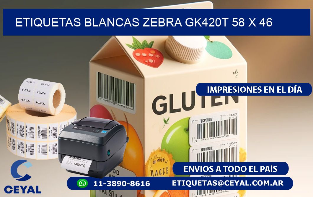 ETIQUETAS BLANCAS ZEBRA GK420T 58 x 46