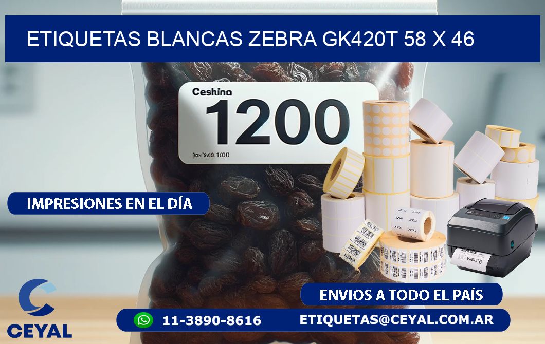 ETIQUETAS BLANCAS ZEBRA GK420T 58 x 46
