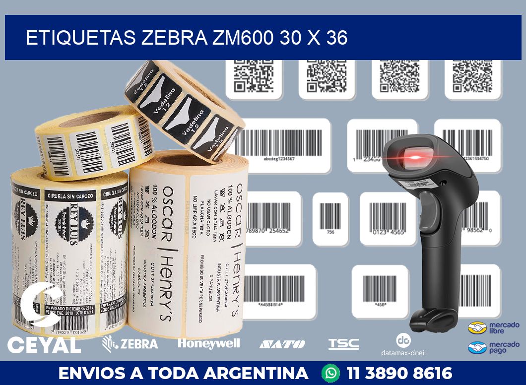 ETIQUETAS Zebra ZM600 30 x 36