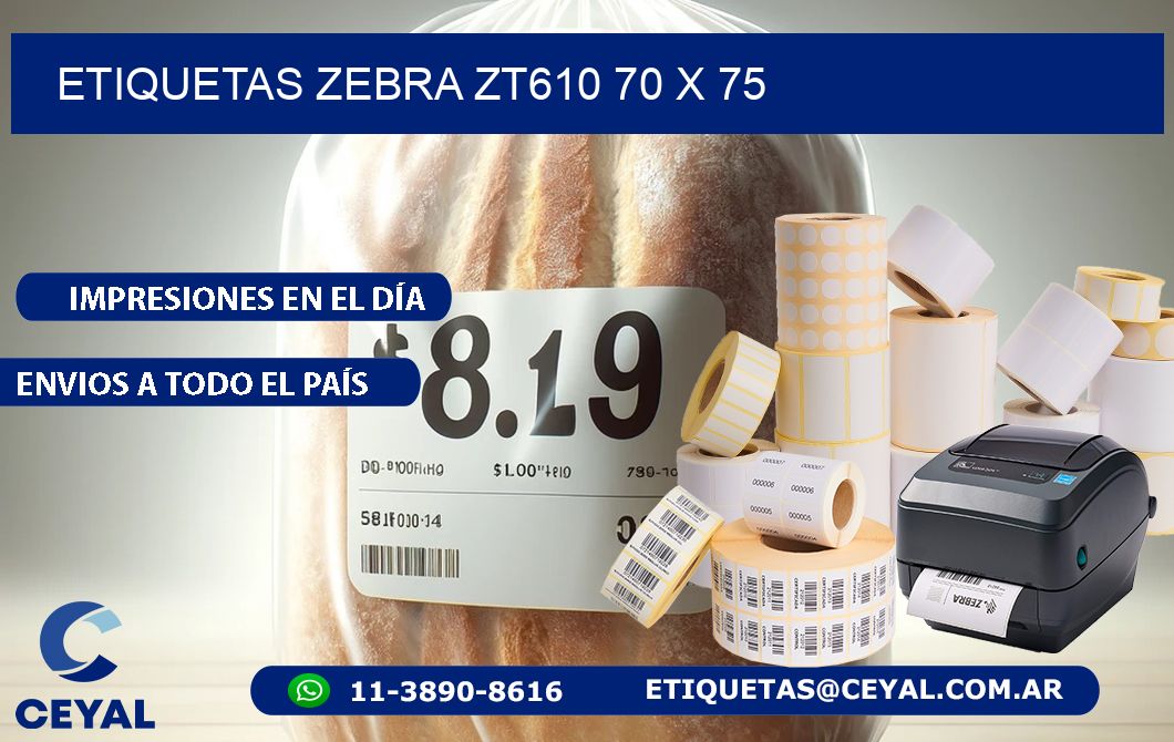 ETIQUETAS Zebra ZT610 70 x 75