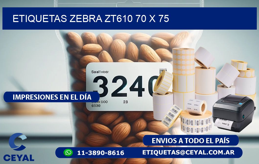 ETIQUETAS Zebra ZT610 70 x 75