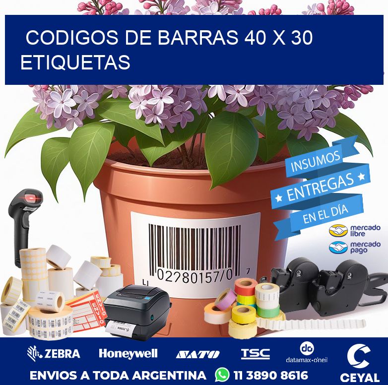 codigos de barras 40 x 30 etiquetas