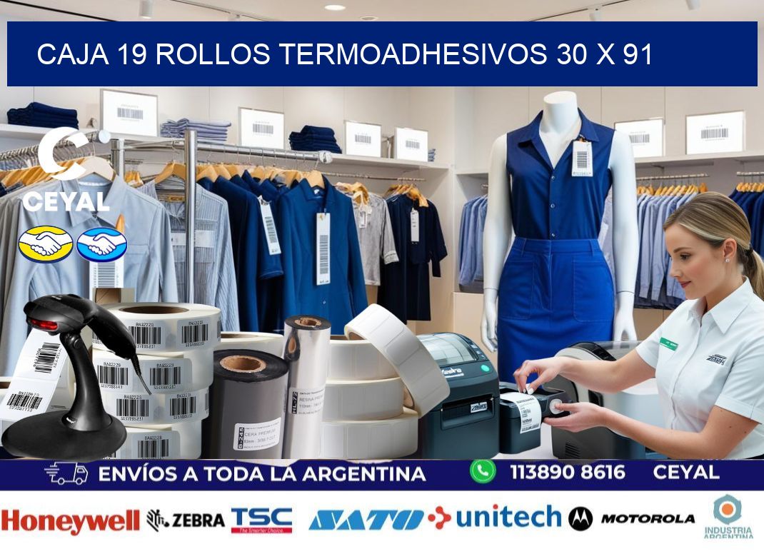CAJA 19 ROLLOS TERMOADHESIVOS 30 x 91