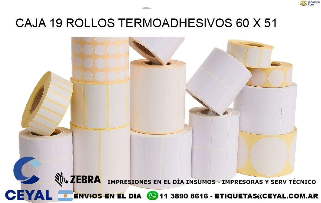 CAJA 19 ROLLOS TERMOADHESIVOS 60 x 51