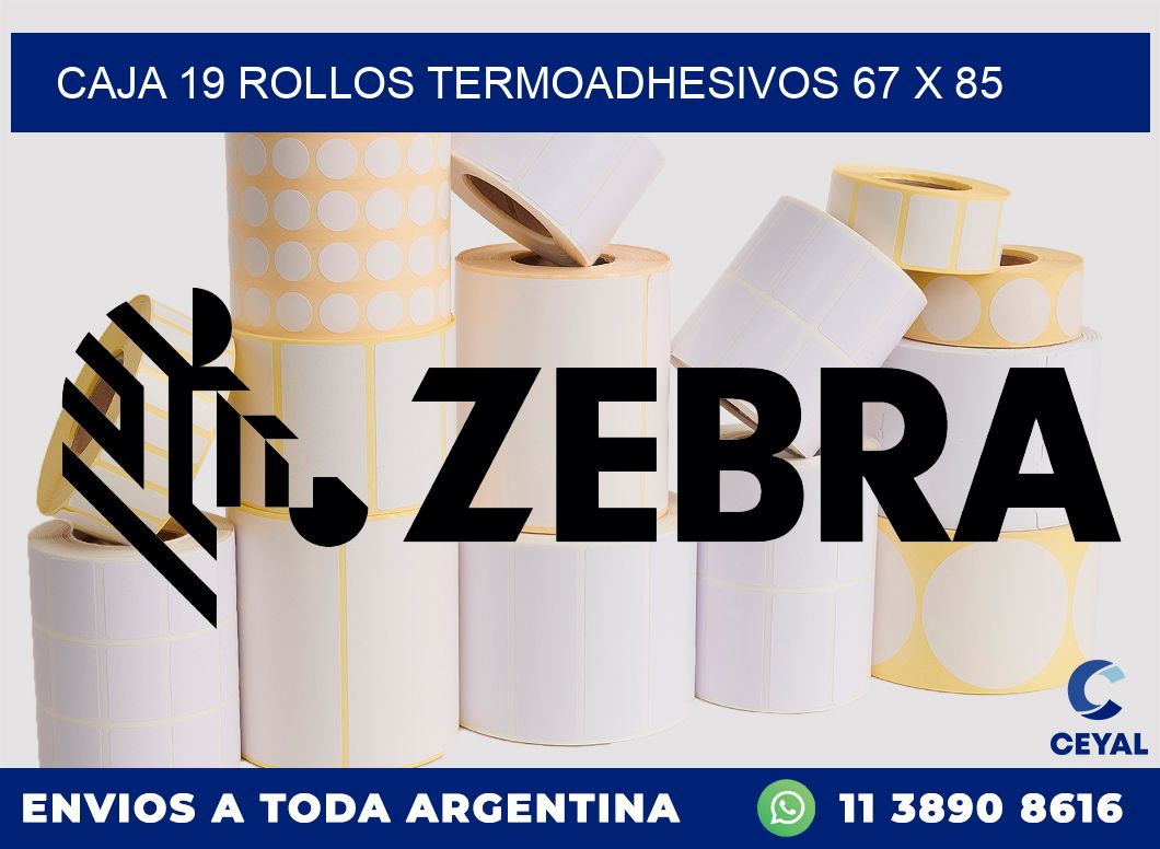 CAJA 19 ROLLOS TERMOADHESIVOS 67 x 85