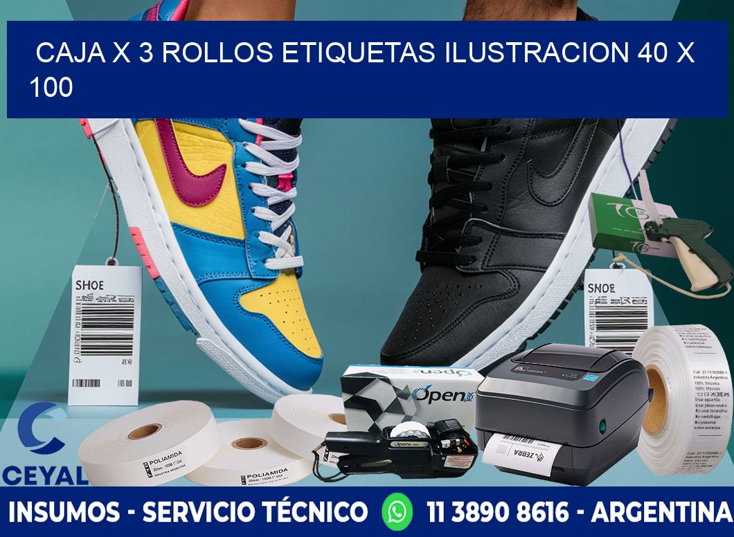 Caja X 3 Rollos Etiquetas Ilustracion 40 x 100