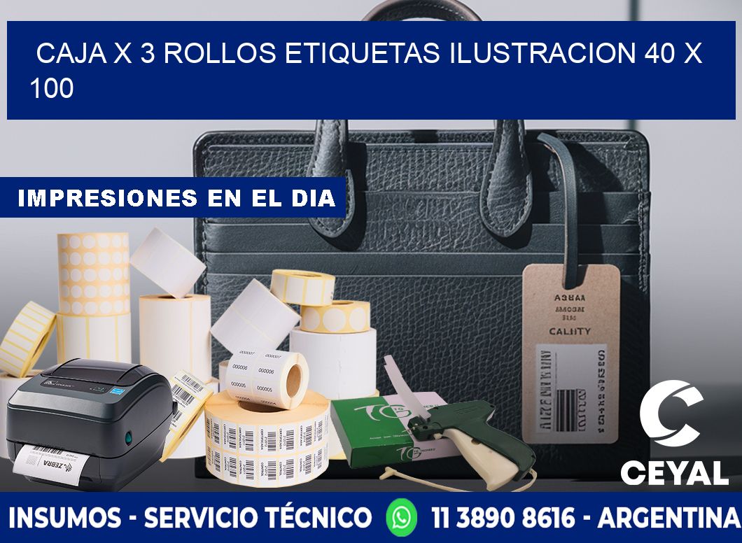 Caja X 3 Rollos Etiquetas Ilustracion 40 x 100