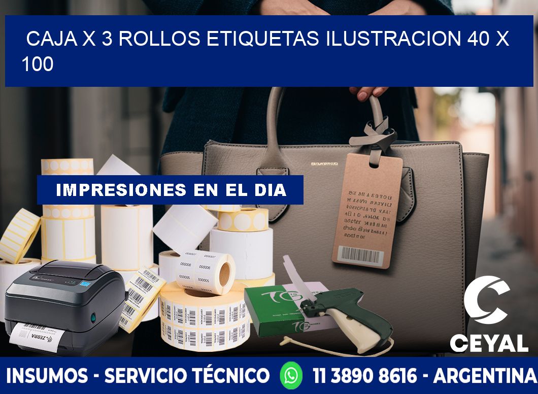 Caja X 3 Rollos Etiquetas Ilustracion 40 x 100