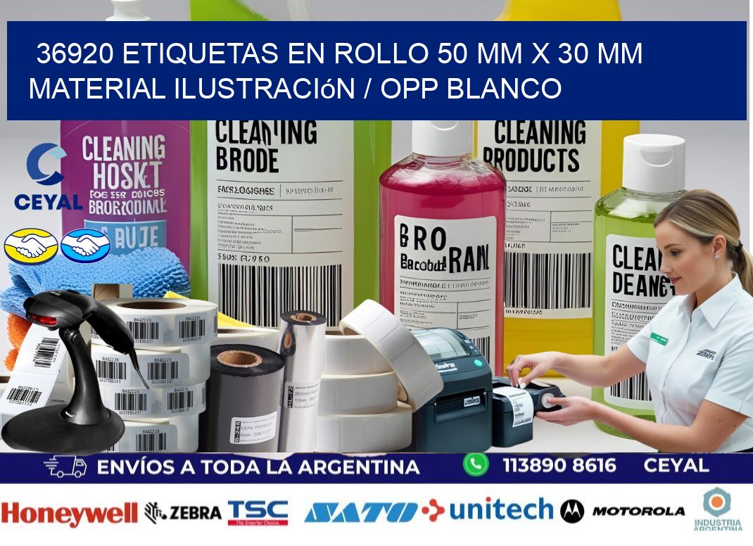 36920 Etiquetas en rollo 50 mm x 30 mm material Ilustración / OPP Blanco