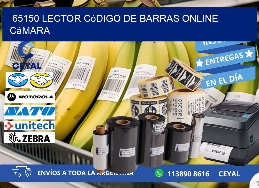 65150 Lector código de barras online cámara