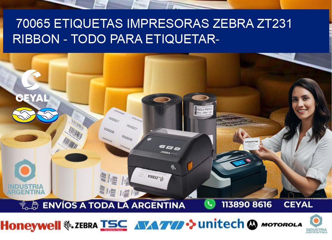 70065 etiquetas impresoras zebra zt231 ribbon – Todo para Etiquetar-