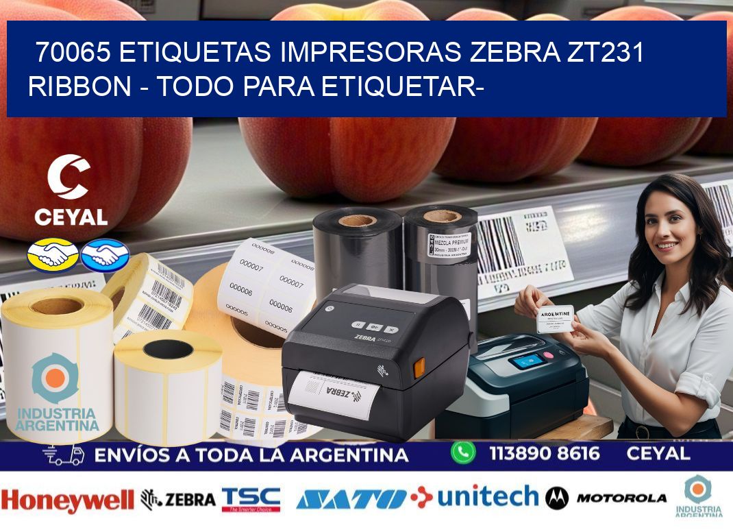 70065 etiquetas impresoras zebra zt231 ribbon - Todo para Etiquetar-