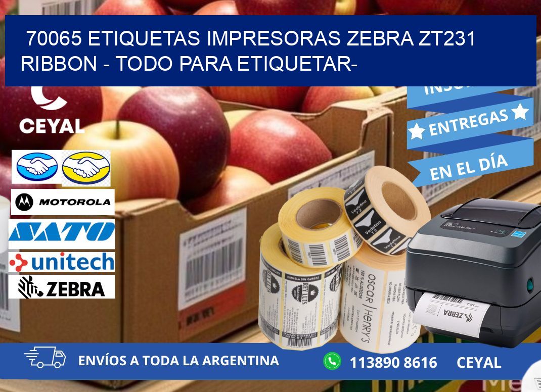 70065 etiquetas impresoras zebra zt231 ribbon - Todo para Etiquetar-