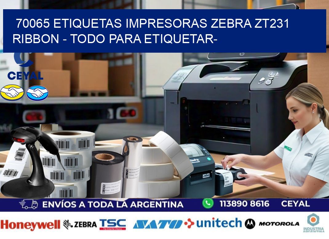 70065 etiquetas impresoras zebra zt231 ribbon - Todo para Etiquetar-