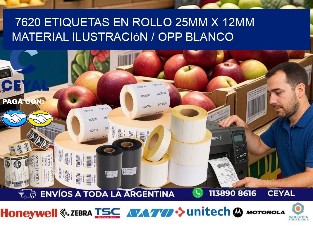 7620 Etiquetas en rollo 25mm x 12mm material Ilustración / OPP Blanco