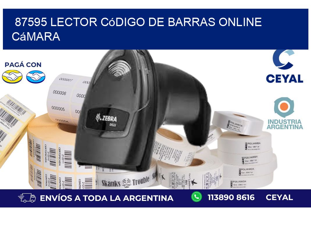 87595 Lector código de barras online cámara